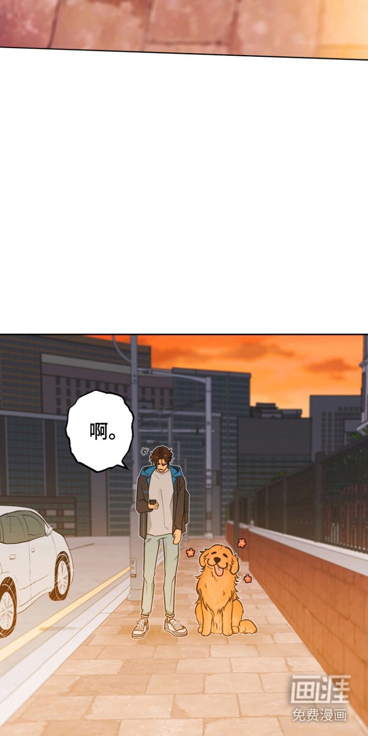 第11章：担心