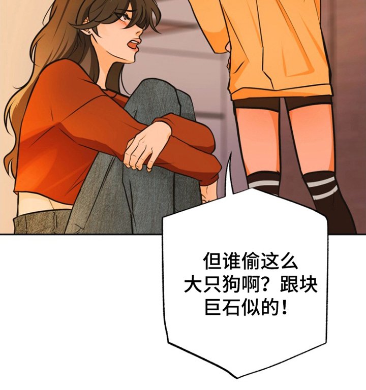 第11章：担心