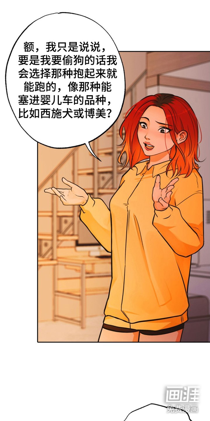 第12章：照片