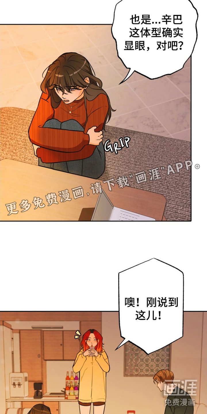 第12章：照片