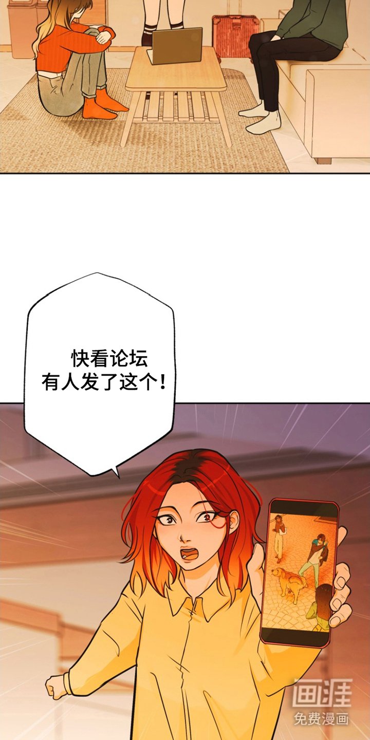 第12章：照片