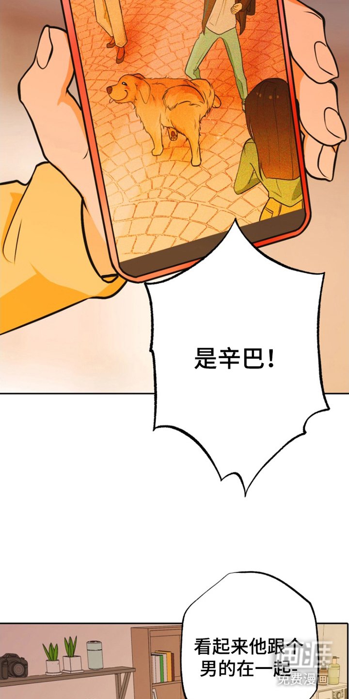 第12章：照片