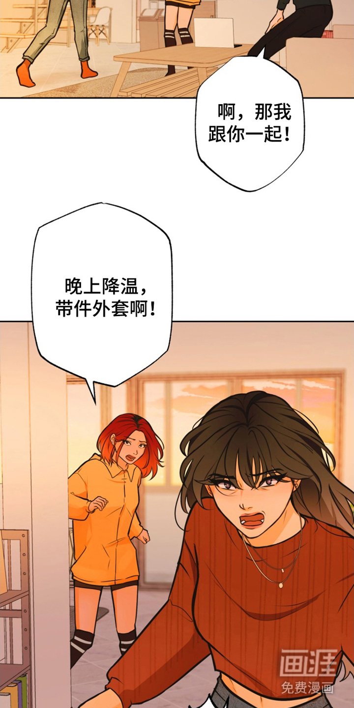 第12章：照片