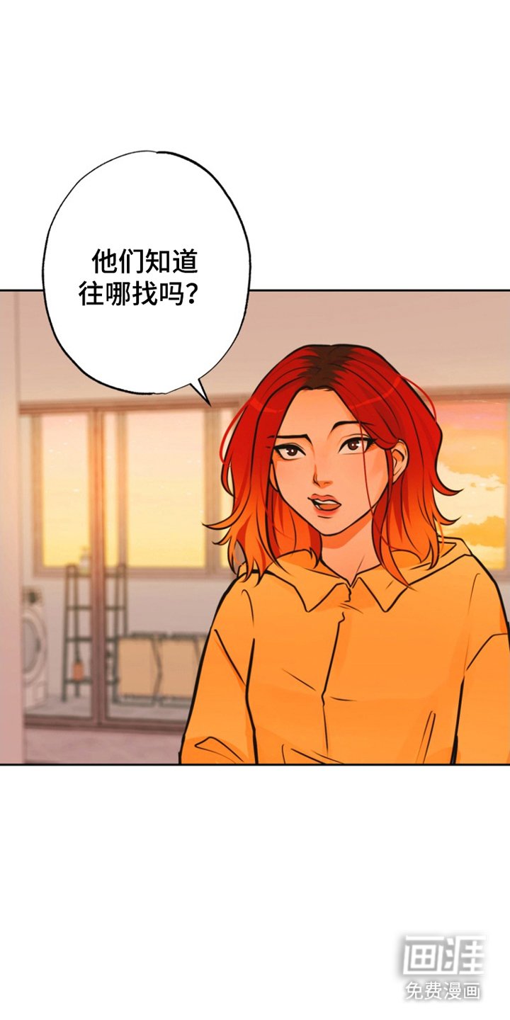 第12章：照片