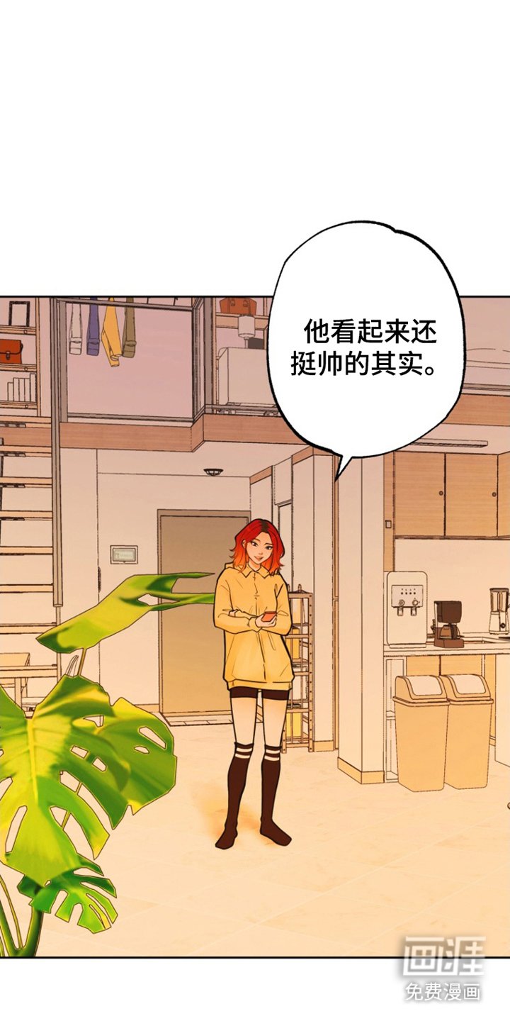 第12章：照片