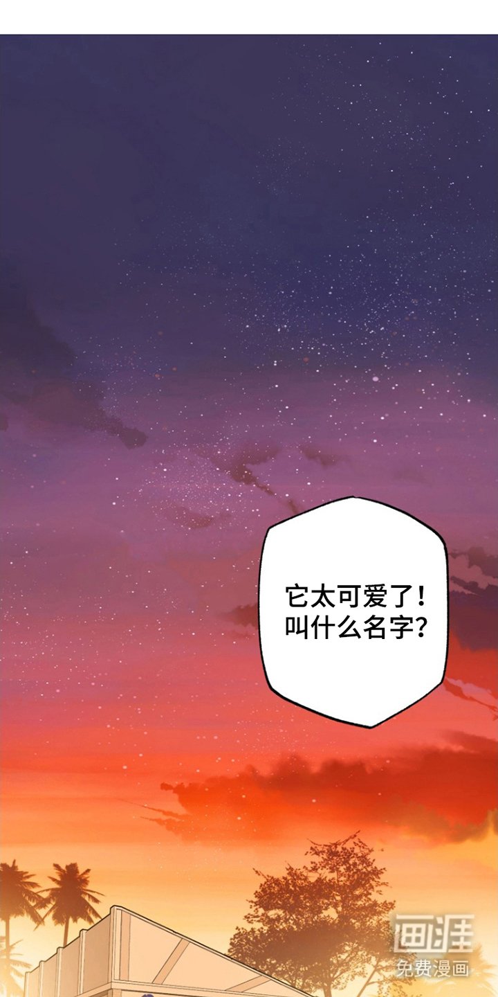 第12章：照片