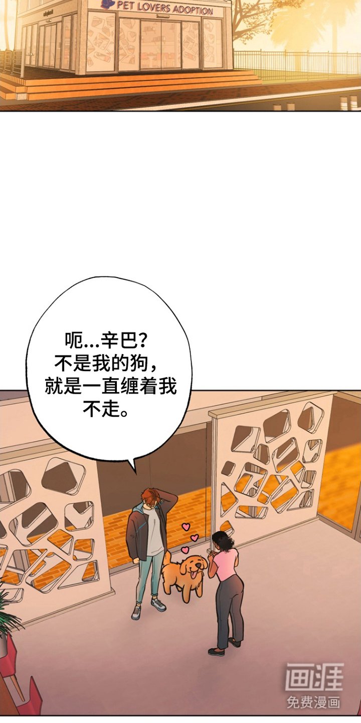 第12章：照片