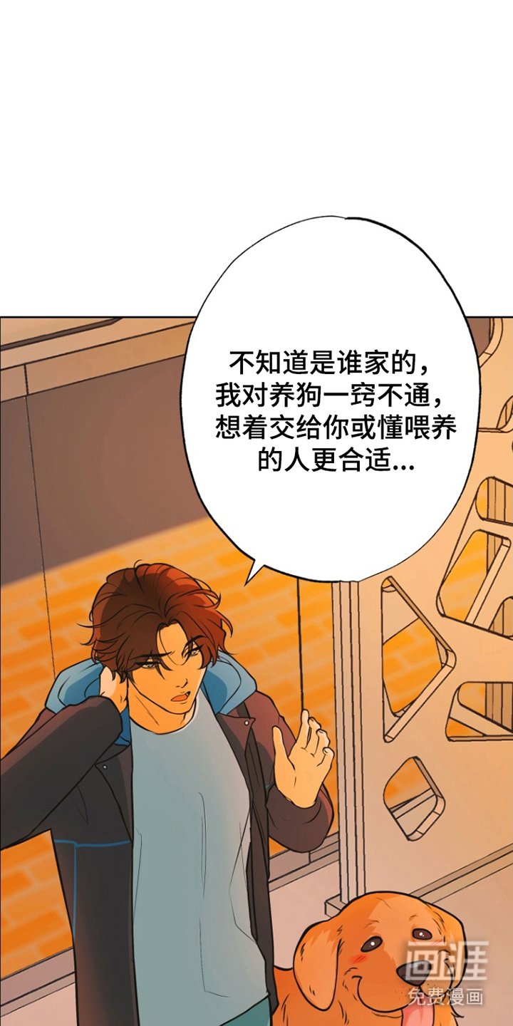 第12章：照片