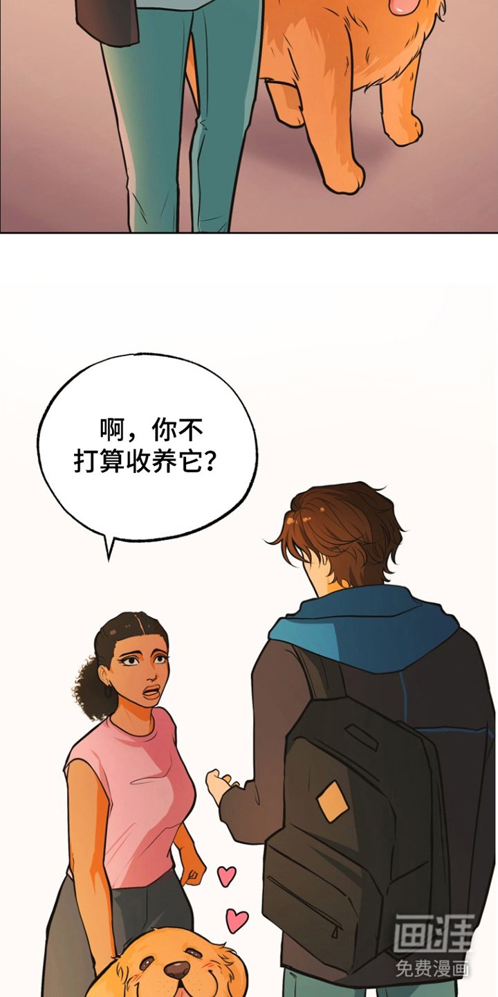 第12章：照片