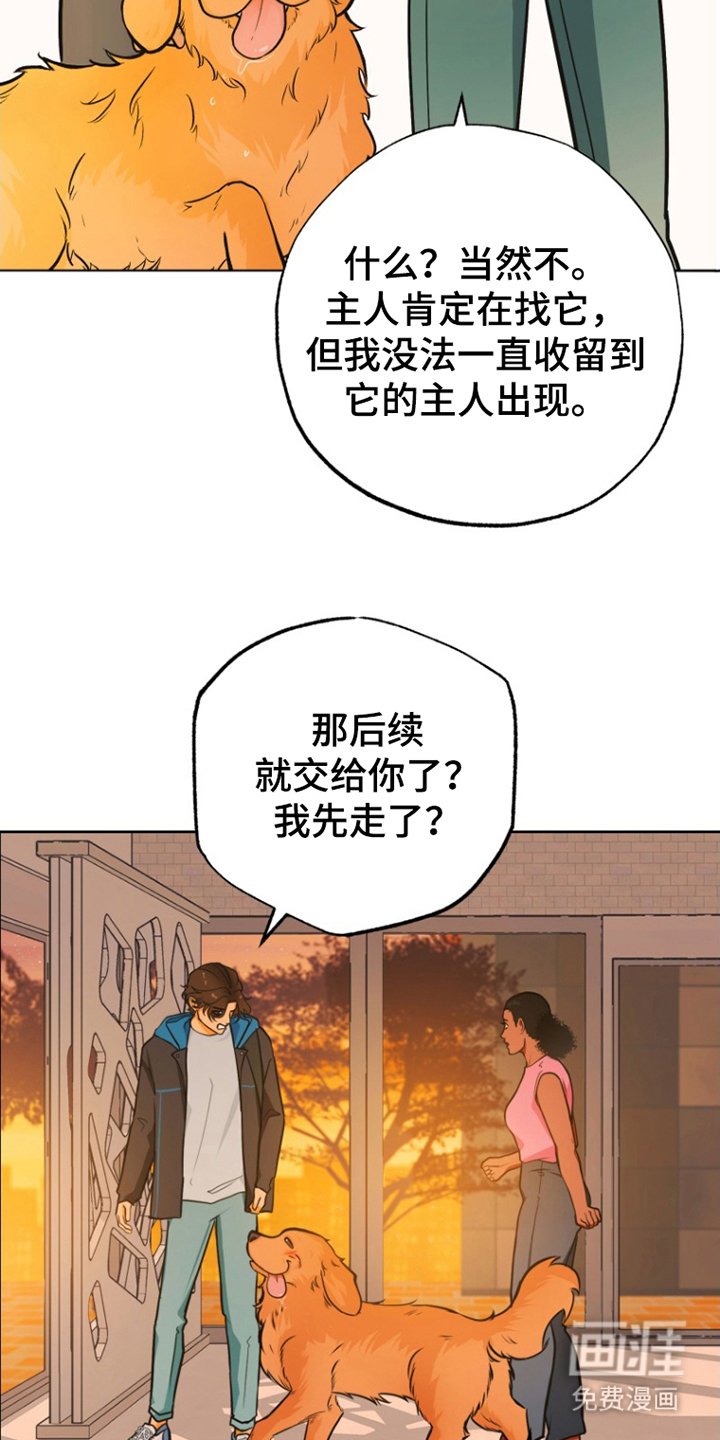 第12章：照片