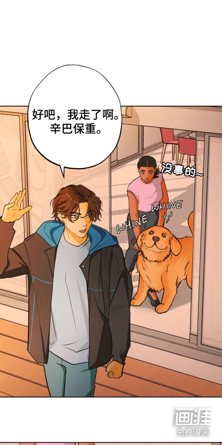 第12章：照片
