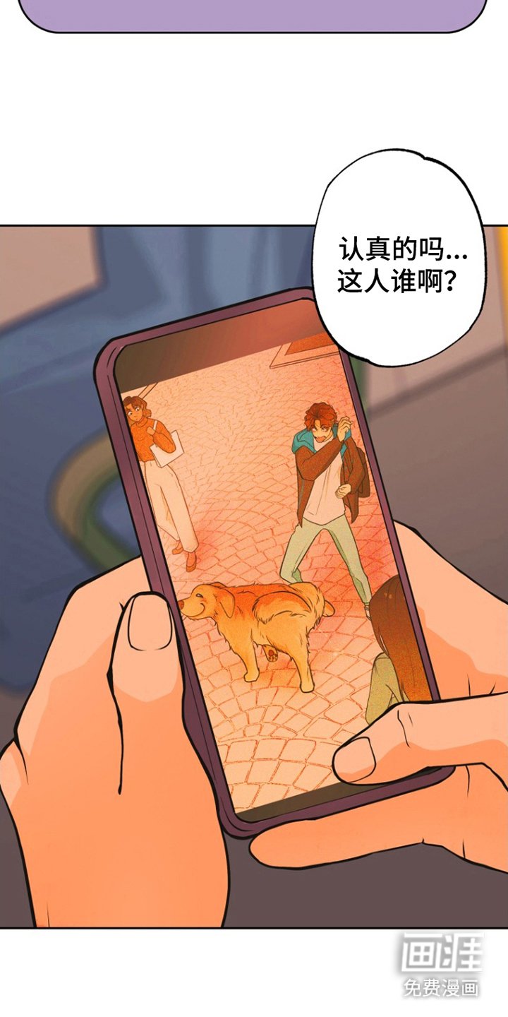 第13章：发现
