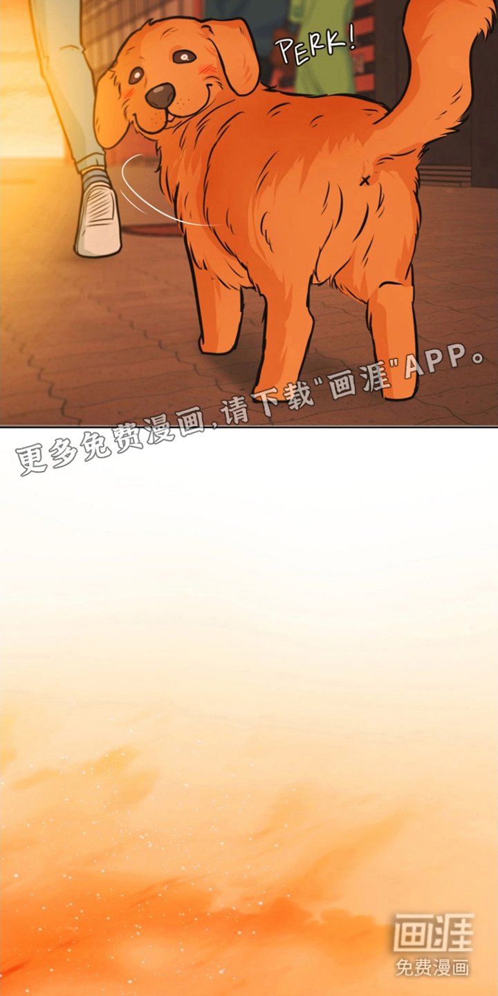 第14章：那个男人