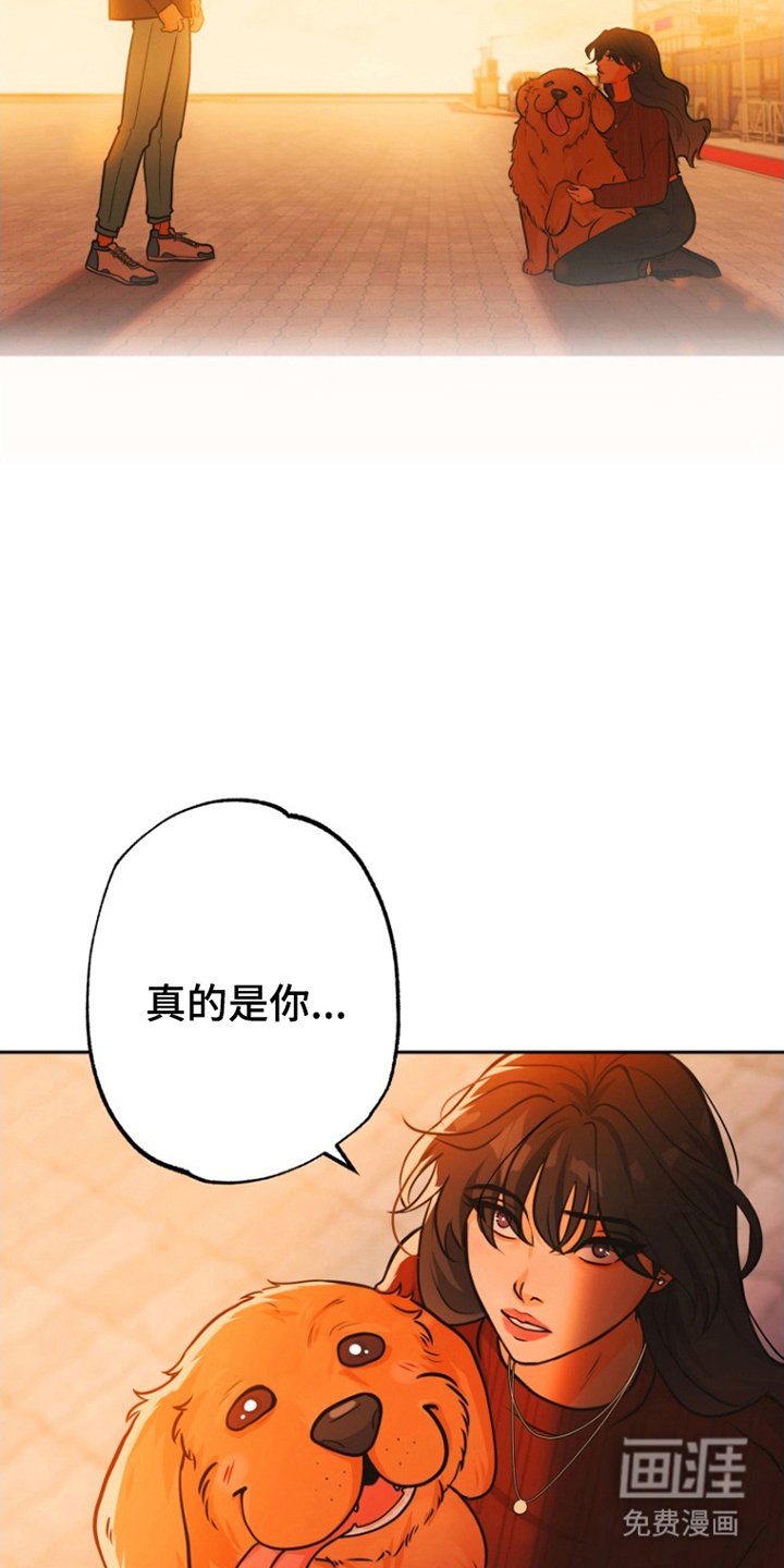 第14章：那个男人