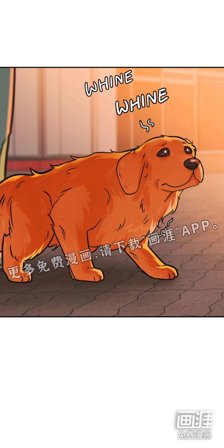 第15章：不想再见
