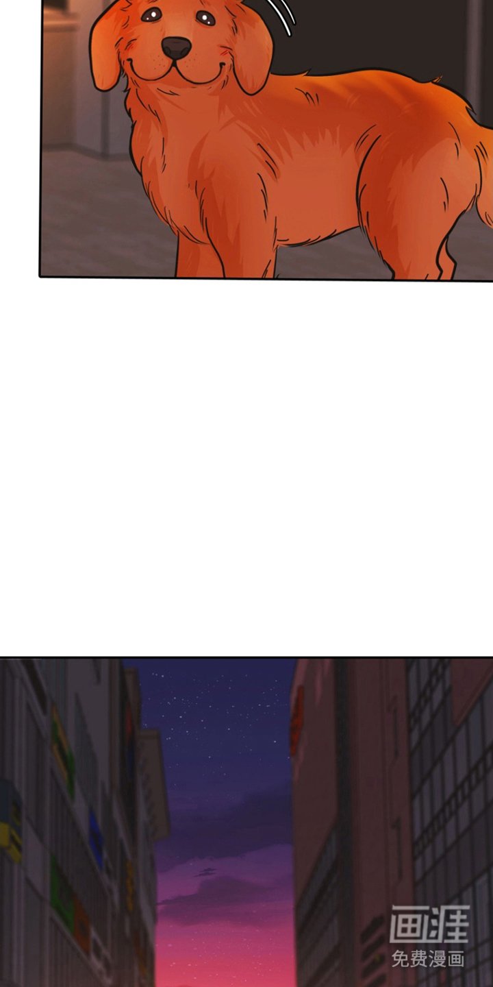 第15章：不想再见