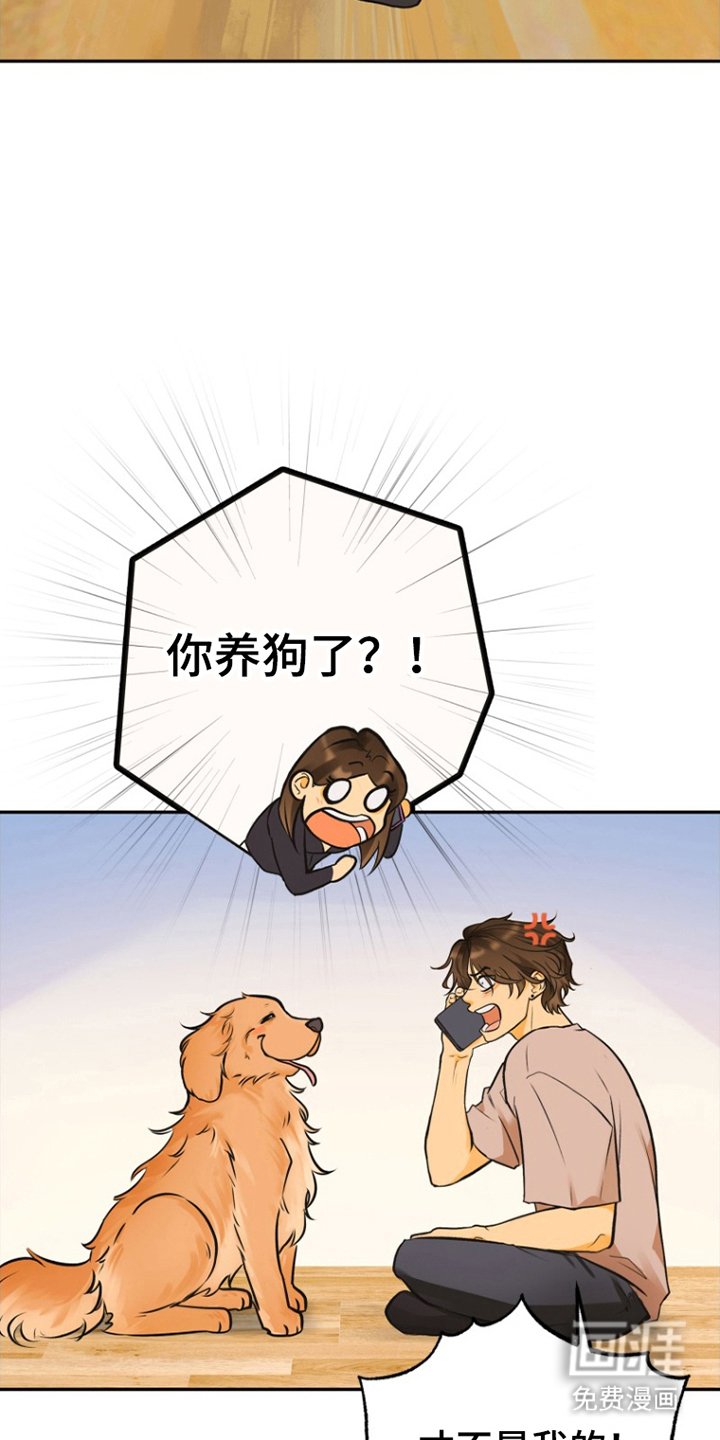第6章：祝你好运