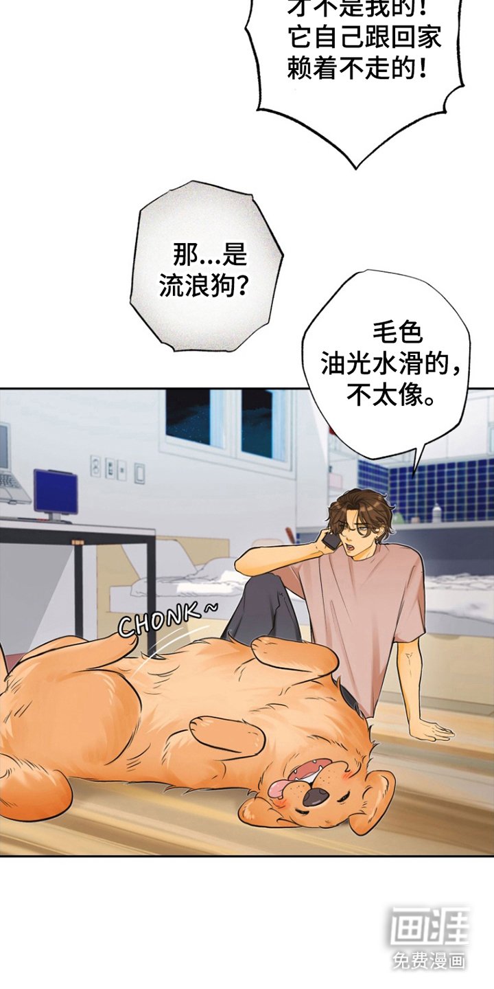 第6章：祝你好运