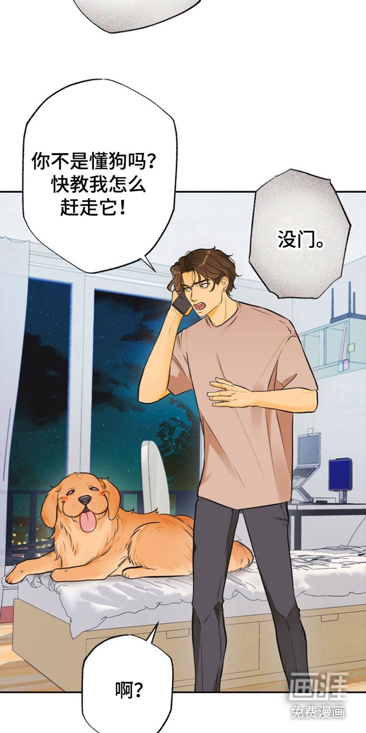 第6章：祝你好运