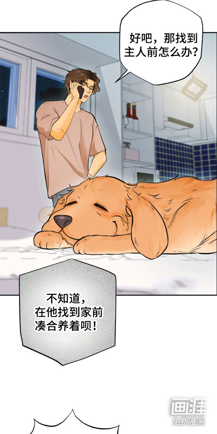 第6章：祝你好运