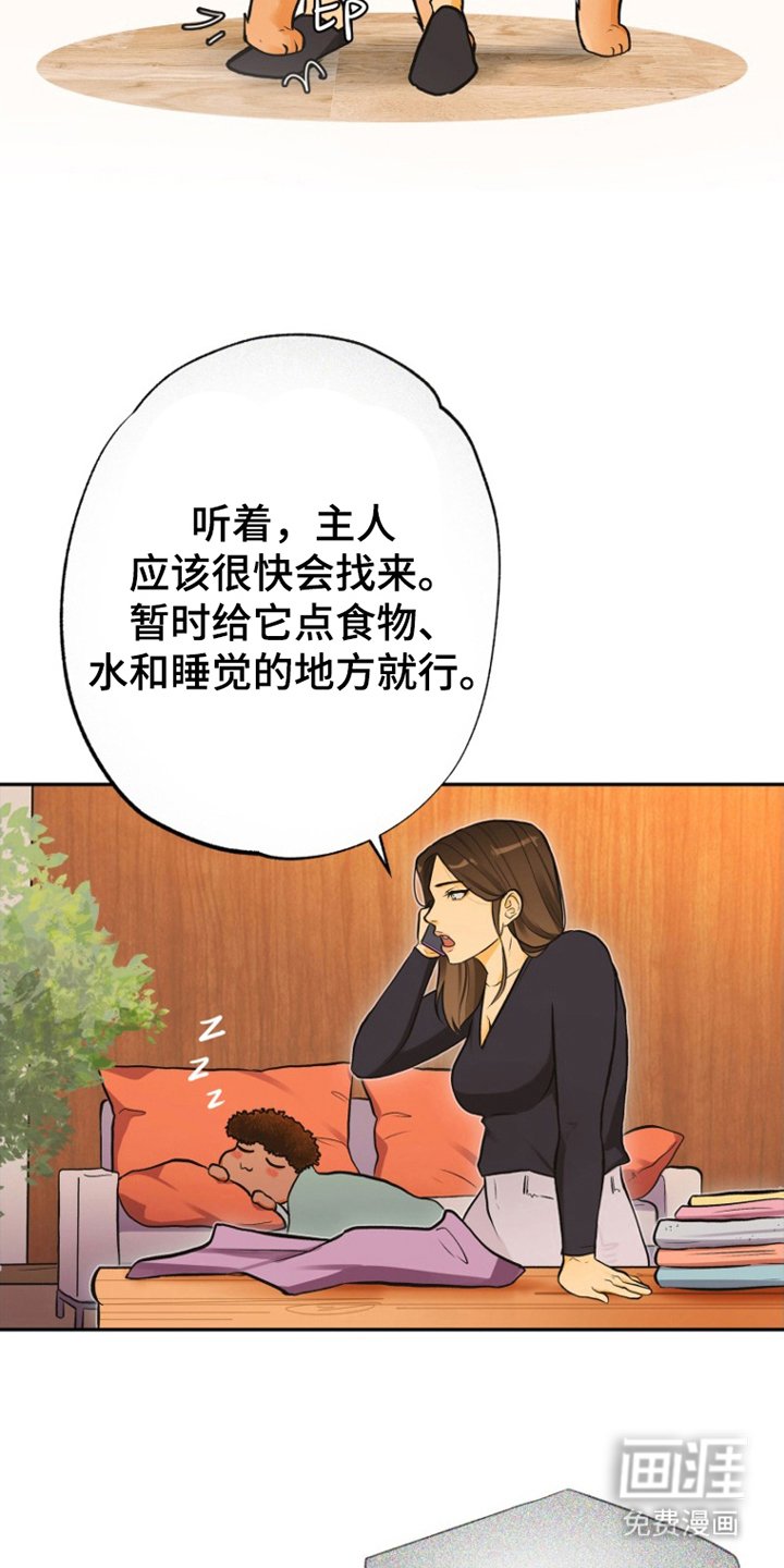 第6章：祝你好运