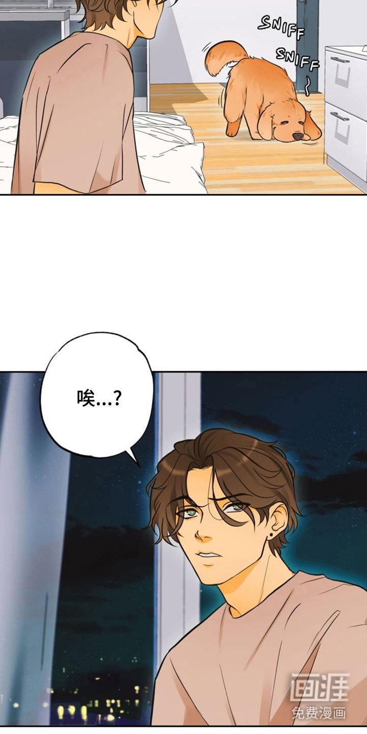第6章：祝你好运