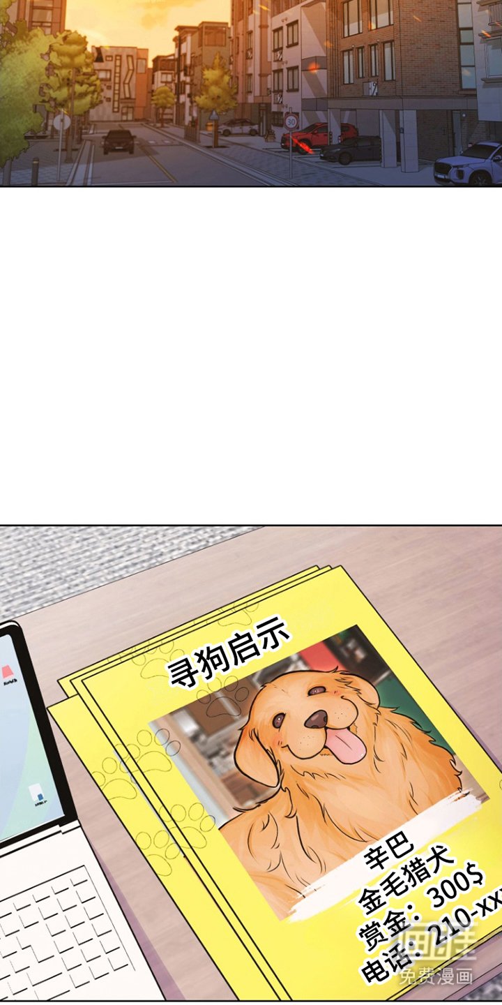 第7章：寻狗启示