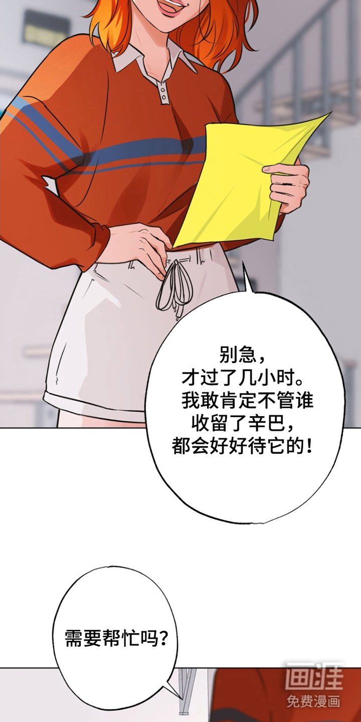 第7章：寻狗启示
