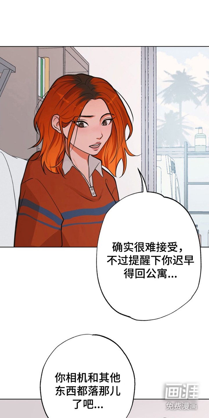 第7章：寻狗启示