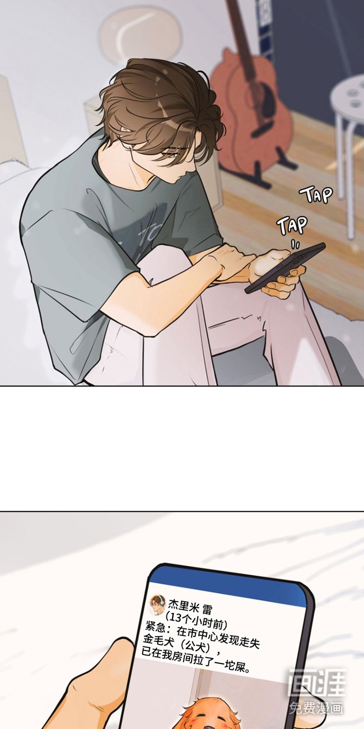 第7章：寻狗启示
