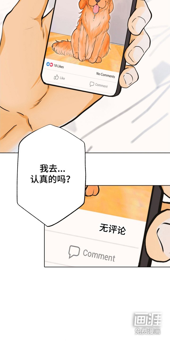 第7章：寻狗启示