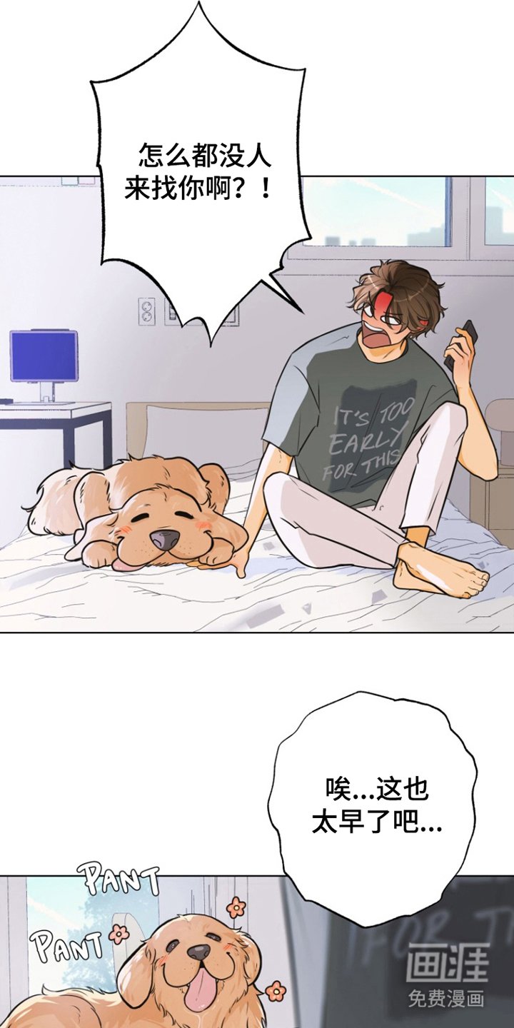 第7章：寻狗启示