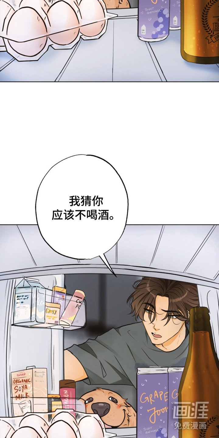 第8章：联系