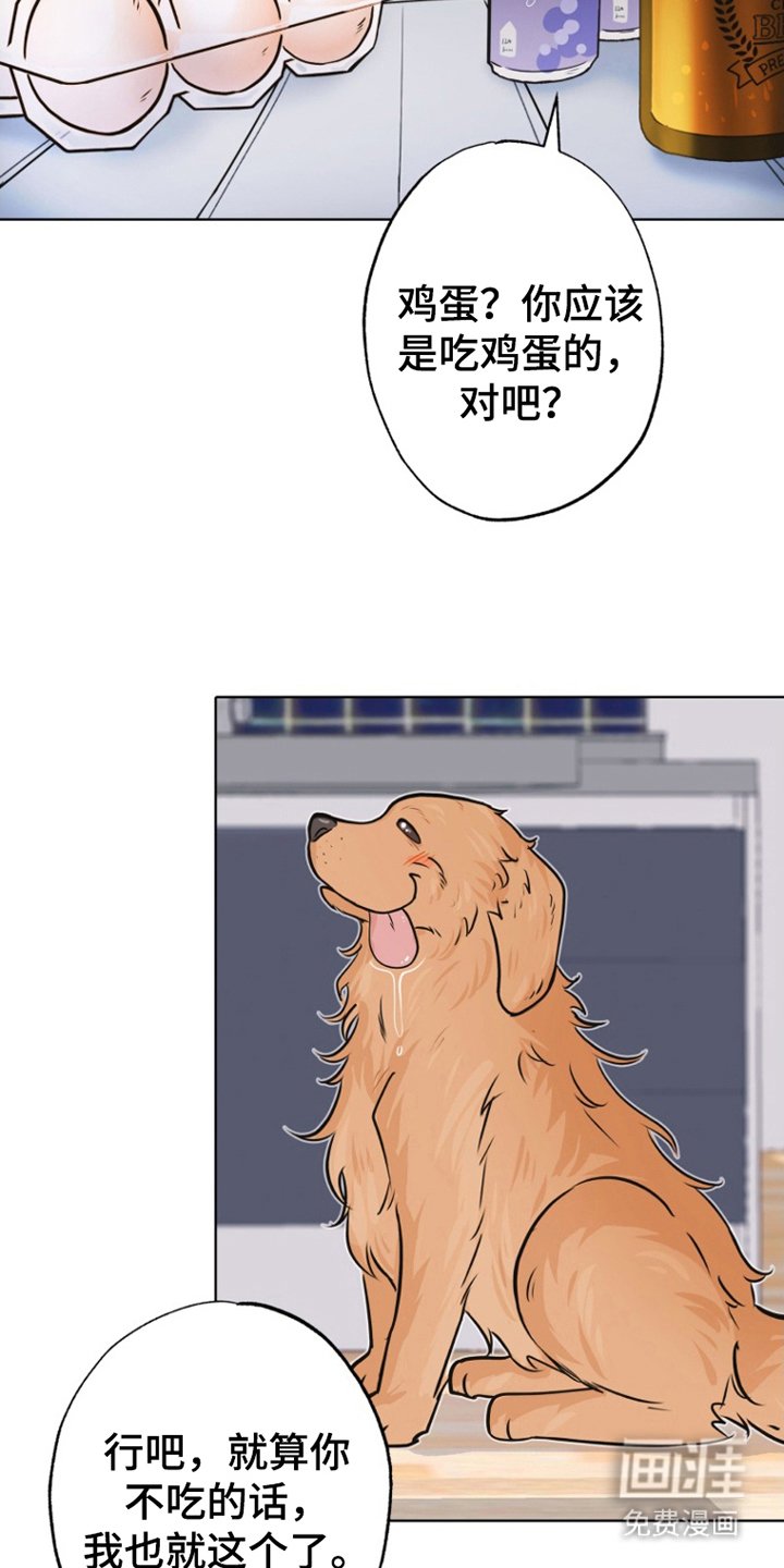 第8章：联系