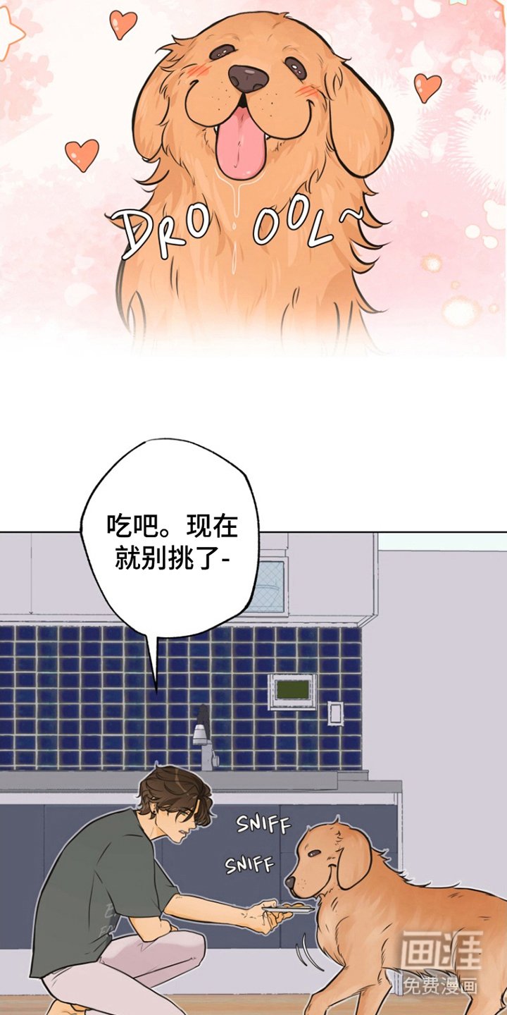 第8章：联系