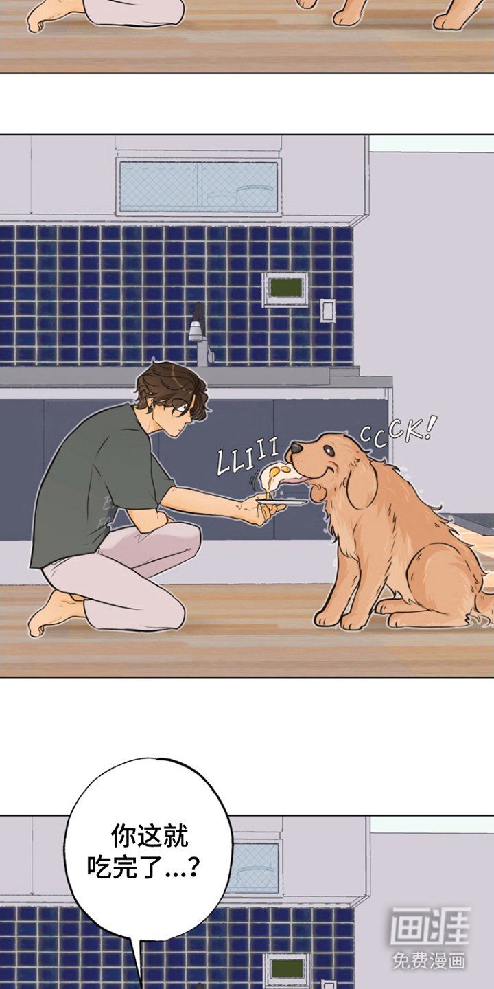 第8章：联系