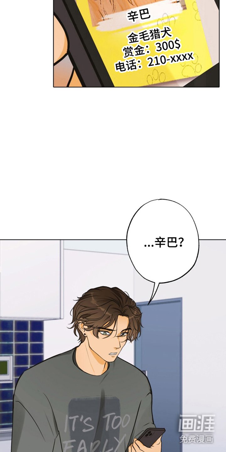 第8章：联系