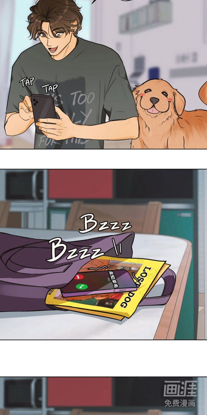 第8章：联系