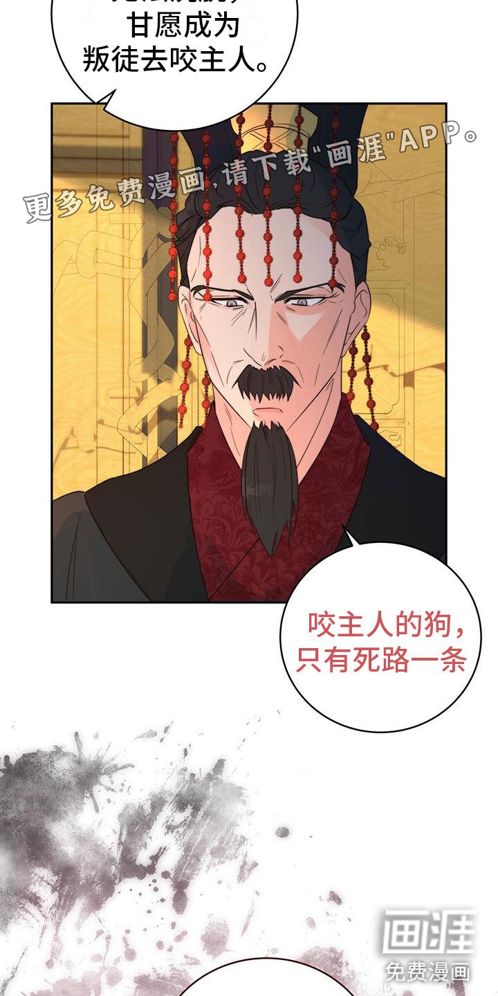 第11章：机会