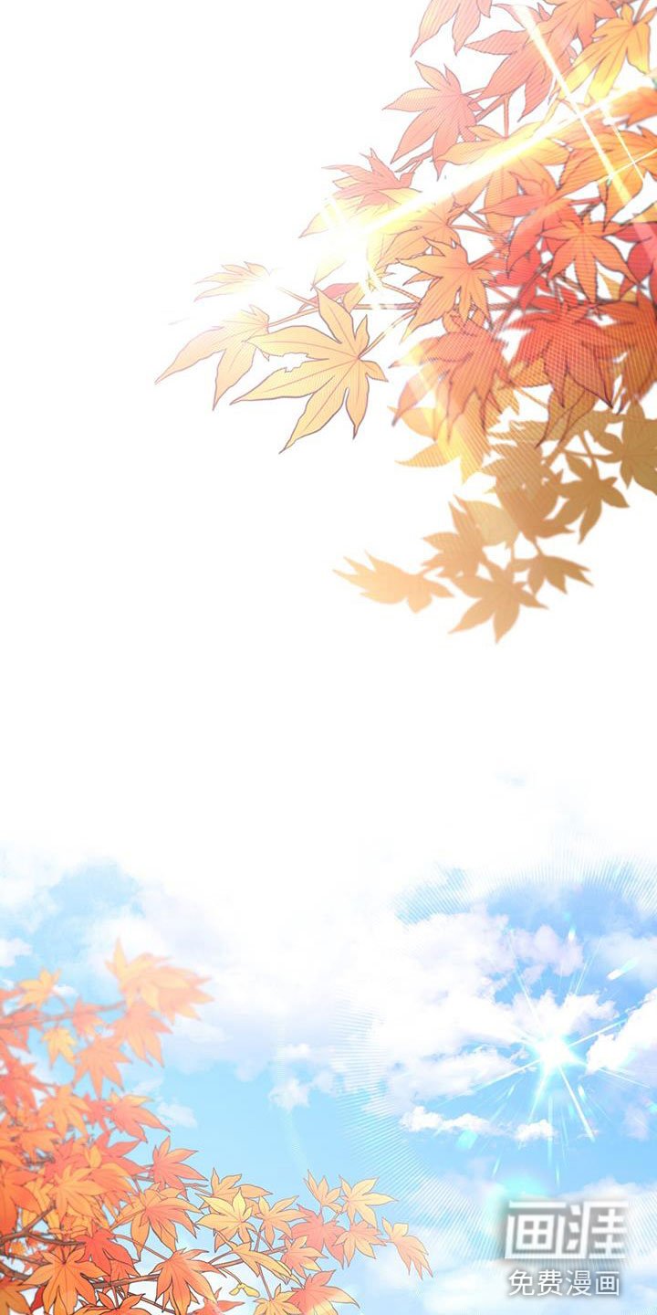第11章：机会