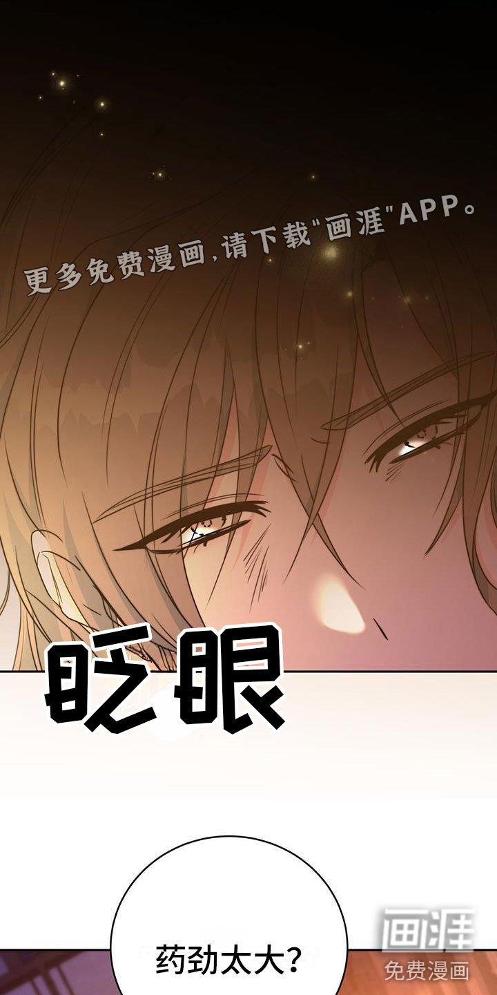 第16章：合欢酒