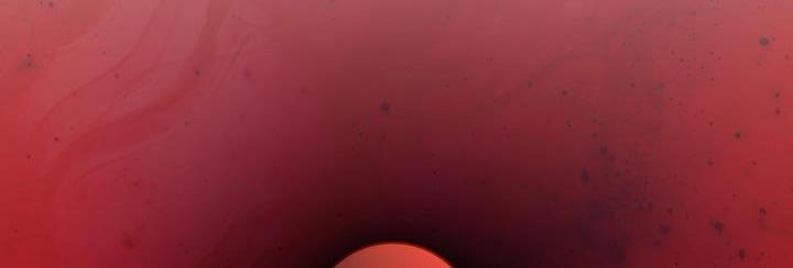 第41章：恋爱游戏