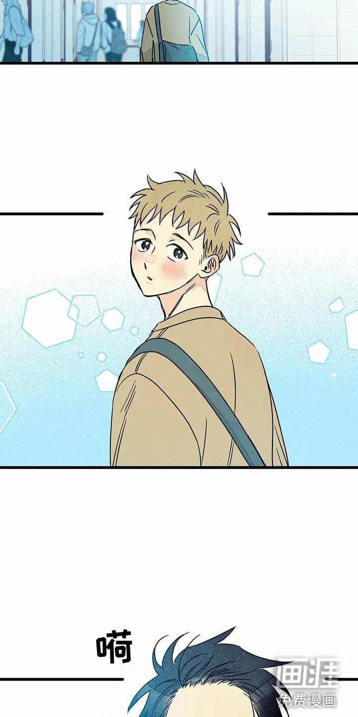 第11章：表白（完结）