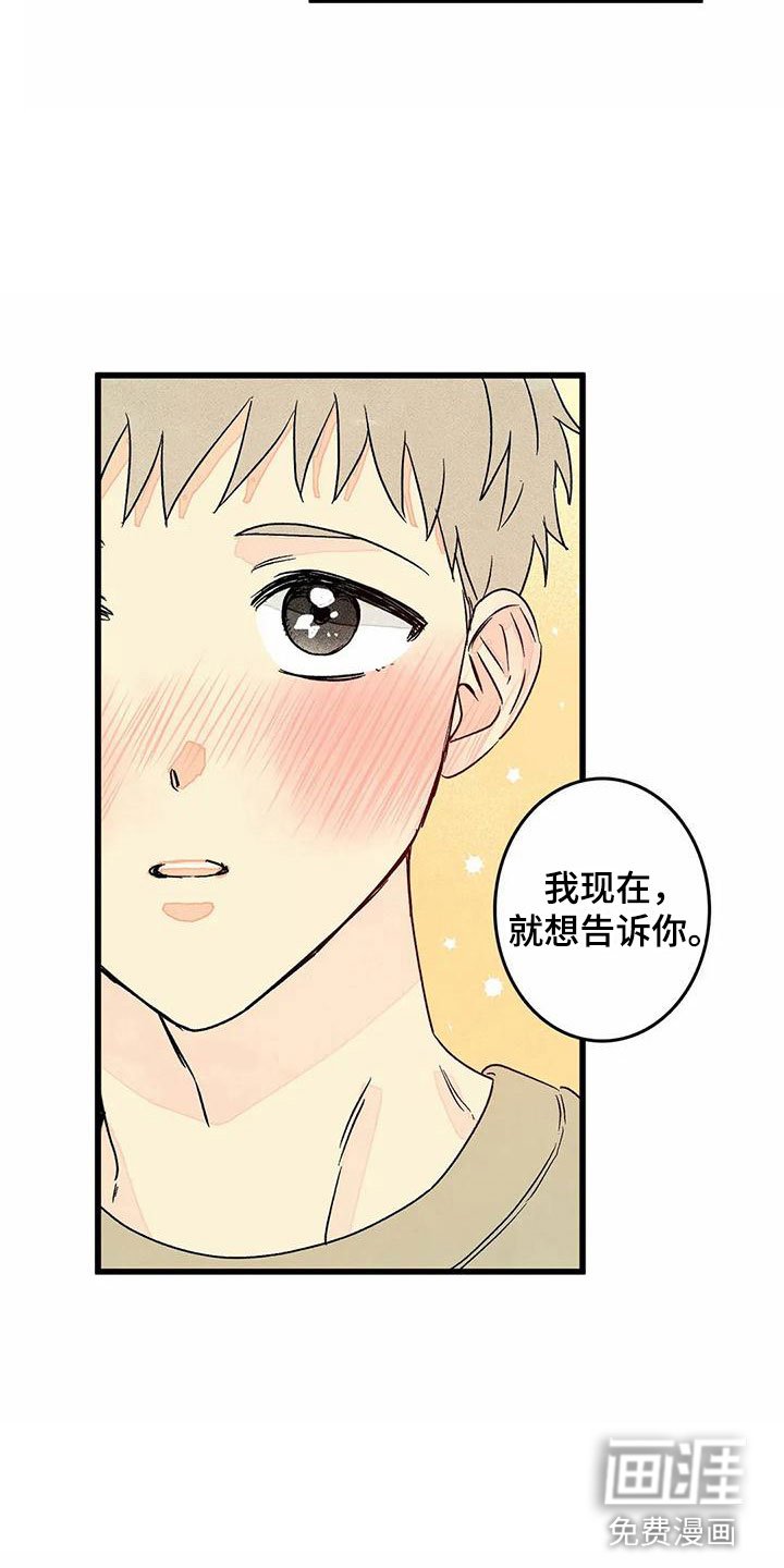 第11章：表白（完结）