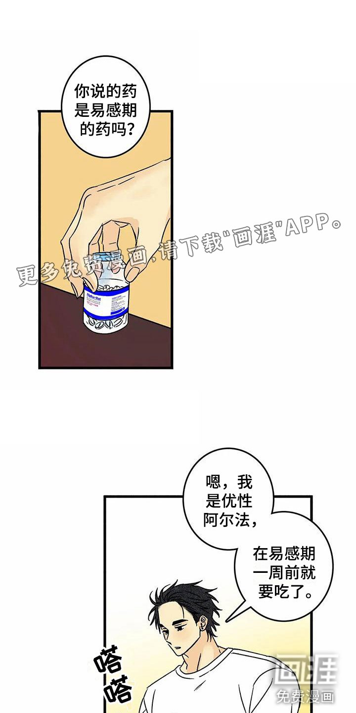 第6章：橙子香味