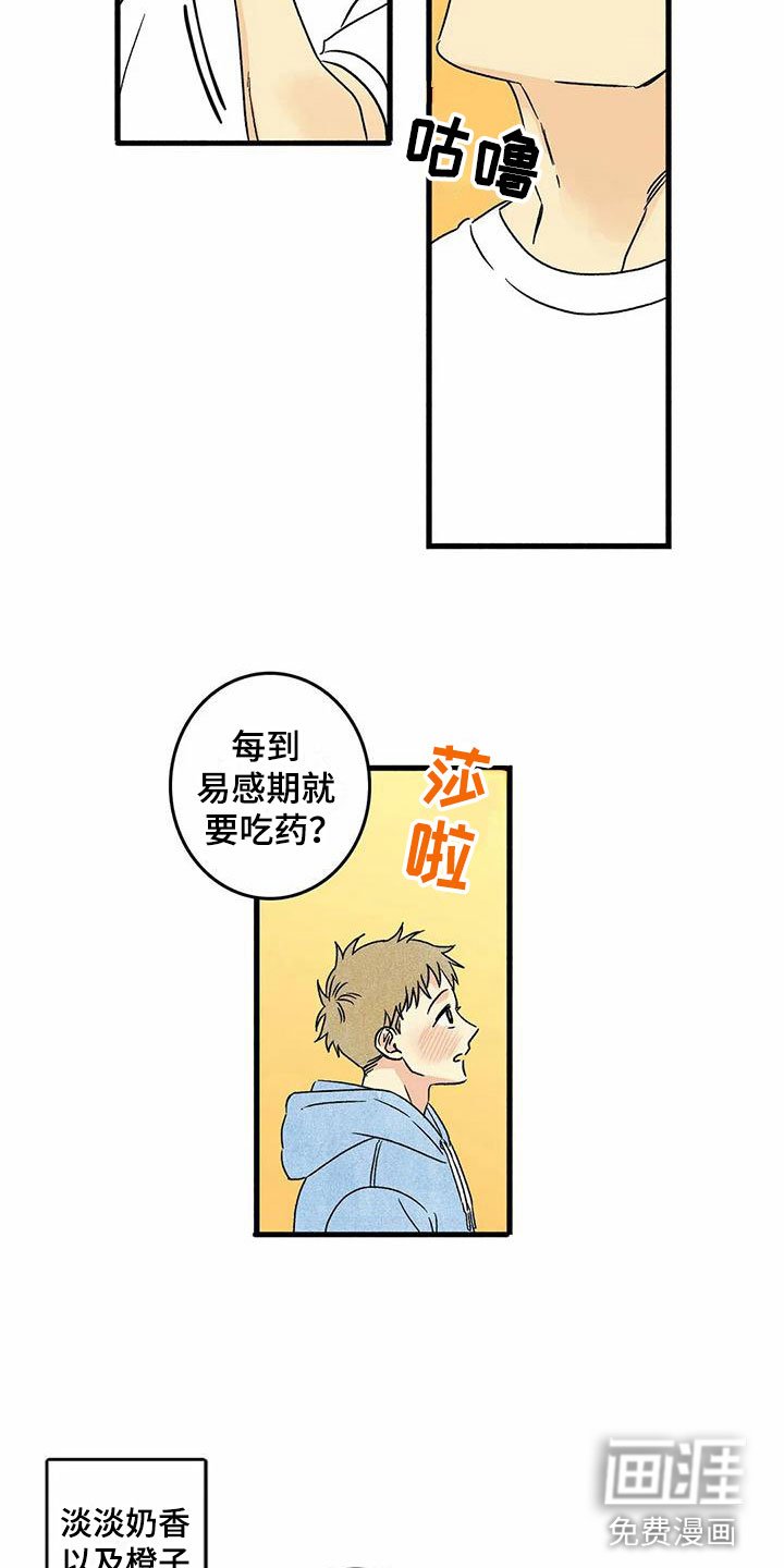 第6章：橙子香味