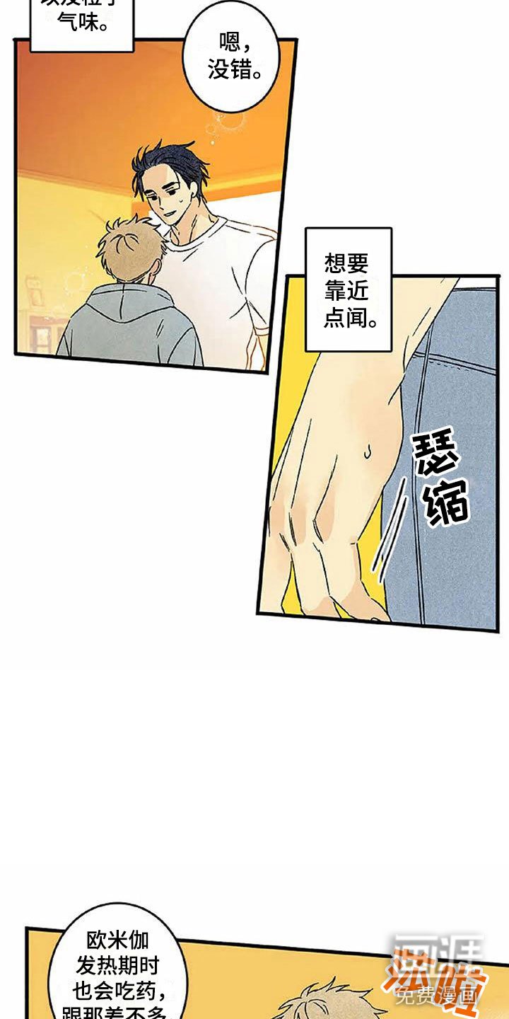 第6章：橙子香味