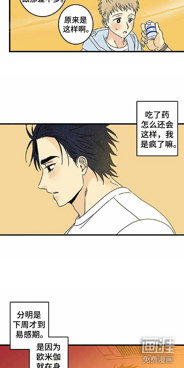 第6章：橙子香味