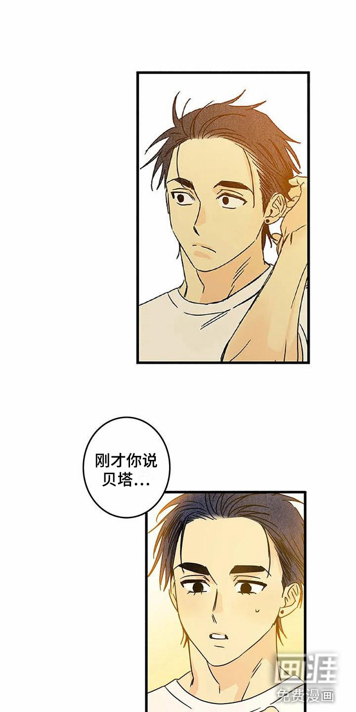 第6章：橙子香味