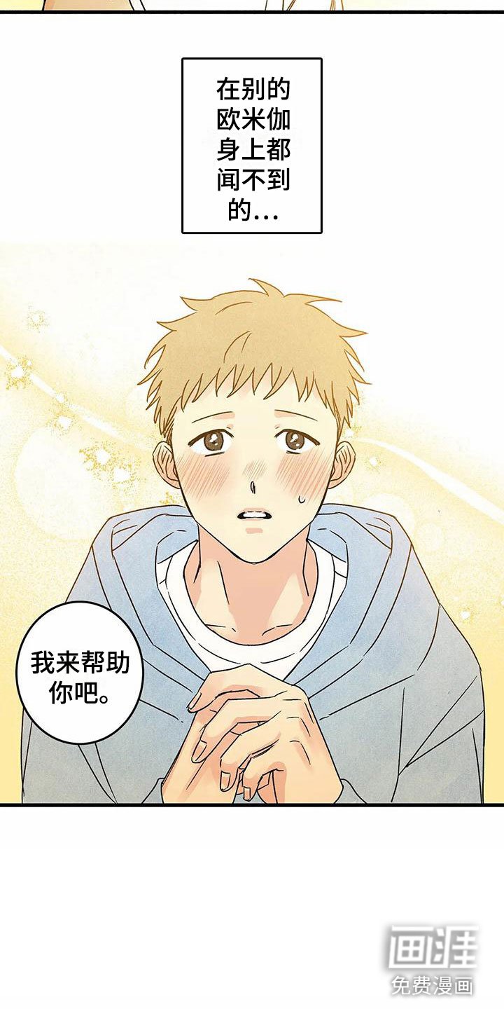 第6章：橙子香味